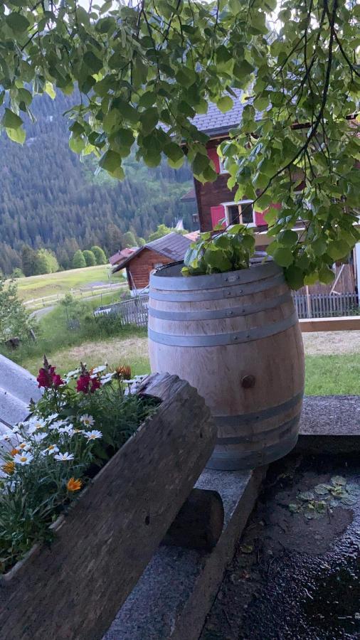 Gasthaus Edelweiss Langwies Екстериор снимка